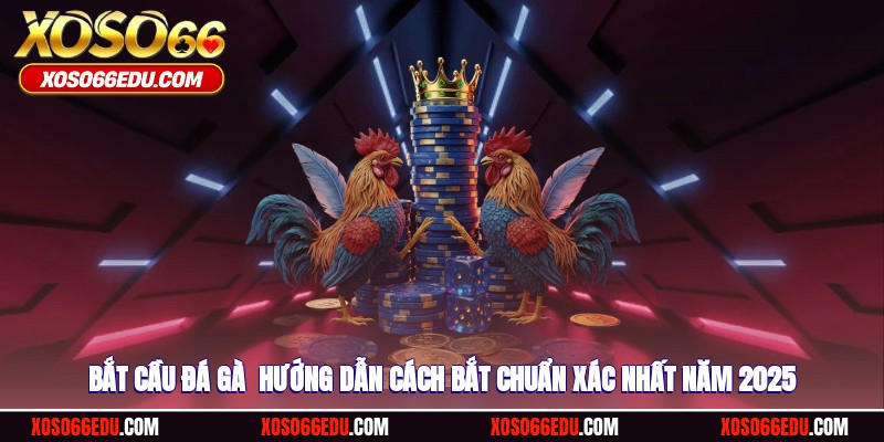 Bắt Cầu Đá Gà - Hướng Dẫn Cách Bắt Chuẩn Xác Nhất 2025