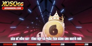 Dàn Đề Hôm Nay - Tổng Hợp Và Phân Tích Dành Cho Người Mới